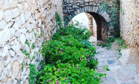 Hydra Walking Tours