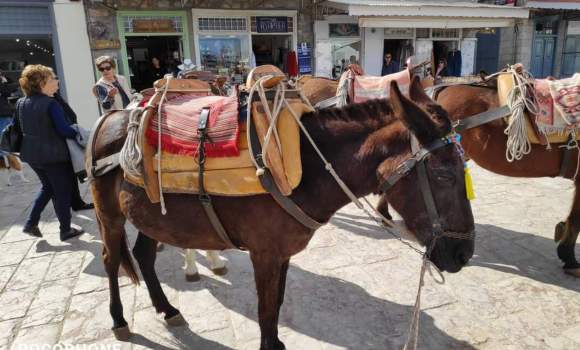 Hydra Walking Tours