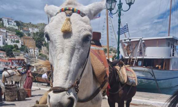 Hydra Walking Tours